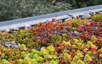 the cost of Ecclefechan green roof installation