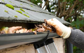 gutter cleaning Ecclefechan, Dumfries And Galloway
