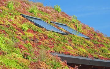 Ecclefechan living roof systems