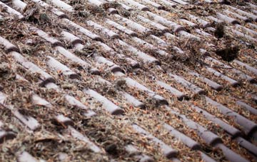 Ecclefechan roof cleaning companies