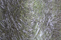 Ecclefechan fibreglass roof work